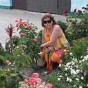 ���� �������, ����, 53 ���� - ��������� 11 ���� 2013 � ������ ���� ����������