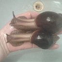 ���� ������, ���������, 48 ��� - ��������� 29 ������� 2012 � ������ ���� �����