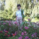 ���� ��������, ������� - ��������� 2 ������� 2012 � ������ ���� ����������