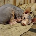 ���� �����, ������ - ��������� 26 ������ 2010 � ������ ���������� ������