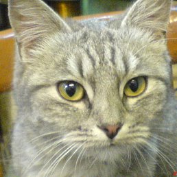 ���� �������, ������������ - ��������� 28 ������ 2012