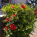 ���� ����, �����, 60 ��� - ��������� 9 ���� 2012 � ������ ��Ψ ����������� � ������ܻ