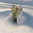 ���� ������, ��������� - ��������� 26 ������� 2011 � ������ �����