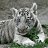 ���� Sergey, �������, 48 ��� - ��������� 22 ����� 2010