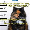  ,  -  17  2009    ))))