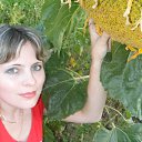 -     ...       ,      ....