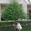 ���� Alekskot, ������, 59 ��� - ��������� 20 ��� 2012 � ������ ���� ����������