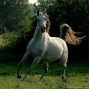 ���� ������, ������-��-����, 47 ��� - ��������� 19 ������� 2011 � ������ ���� ����������