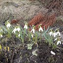 ���� ����, �����-���������, 65 ��� - ��������� 13 ��� 2013 � ������ ������ 2013�