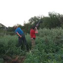 ���� ������, ������������, 49 ��� - ��������� 2 ������ 2012 � ������ ������ ������