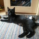 ���� Natalya, ��������, 56 ��� - ��������� 11 ������� 2011 � ������ ����� ����, ���� � &amp;�