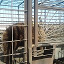 ���� Ihar., �����, 53 ���� - ��������� 15 ������� 2013 � ������ �Foto Sympathy�