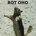 ���� ����, ������������, 64 ���� - ��������� 11 ��� 2012