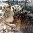 ���� ������, �������, 40 ��� - ��������� 13 ������� 2009 � ������ ����������� ��������, ������� ����������