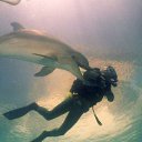 ���� Nemp, ������, 52 ���� - ��������� 10 ������ 2012