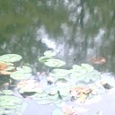 ���� ��������, �������, 71 ��� - ��������� 27 ������ 2012 � ������ ������Ż