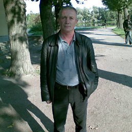 ����, �����-���������, 65 ���