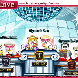 ���� �����, �����, 26 ��� - ��������� 8 ������ 2010