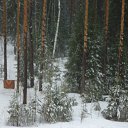 ������� ���� ���������? �� ������� �������