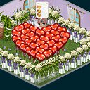 ���� ��������, ���������, 49 ��� - ��������� 29 ����� 2013 � ������ �Tropikania�