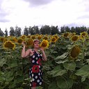 ���� ������, �����, 44 ���� - ��������� 22 ���� 2013 � ������ ���� ����������