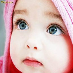 ���� ����, ��������, 35 ��� - ��������� 21 ������� 2011