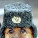 ���� ������, ����� - ��������� 20 ���� 2011 � ������ ���