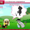  , , 84  -  12  2010   PetLove