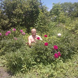 ���� ��������, �����������, 76 ��� - ��������� 18 ���� 2013