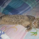 ���� �����, ������������, 50 ��� - ��������� 5 �������� 2010 � ������ �2010�