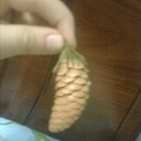 ���� ����, ����, 24 ���� - ��������� 11 ������ 2011