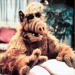 ���� �����, ������, 58 ��� - ��������� 9 ������ 2010