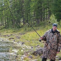 ������, ������, 37 ���