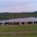 ���� �����, ������, 53 ���� - ��������� 26 ������� 2012 � ������ ���� ����������