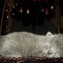 ���� ����_����� ������ ���� ���-��..., �������� - ��������� 10 ������� 2013 � ������ ����� ������ ������..�