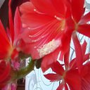 ���� Anika, ������ - ��������� 20 ��� 2012 � ������ �������