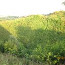 ���� ��������, ������, 46 ��� - ��������� 31 ������ 2011 � ������ ������������