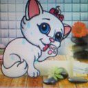 ���� ������, �����, 44 ���� - ��������� 10 ������� 2009 � ������ ���� ����� :)�