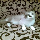 ���� ������, ���������, 46 ��� - ��������� 25 ������� 2010 � ������ �������