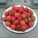  , --, 47  -  19  2013    