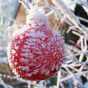 ���� ����, ���� - ��������� 11 ������ 2011 � ������ �Happy New Year & Merry Christmas�
