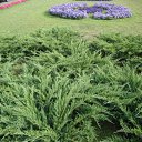 ���� Oldman, ������������ - ��������� 28 ���� 2009 � ������ ���� ������� ����� ������