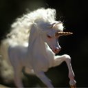 ���� Jeon Davon, ������ - ��������� 30 ��� 2012 � ������ �����������