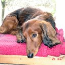 ���� &deg;&bull;*������&deg;&bull;*, ����������, 23 ���� - ��������� 3 ���� 2010 � ������ ��������!�