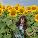 ���� ��������, ���������, 48 ��� - ��������� 12 ���� 2013 � ������ ���� ����������