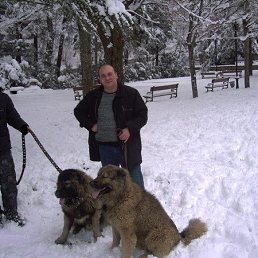 Lasha, �������, 55 ���