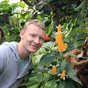 ���� �����, ������������, 46 ��� - ��������� 28 ���� 2013 � ������ ���� ����������