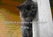 ���� ������, ����������, 54 ���� - ��������� 13 �������� 2011 � ������ �������