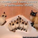 ���� M@ria, �������� - ��������� 10 �������� 2011 � ������ ���������