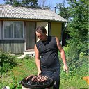 ���� �������, ����, 53 ���� - ��������� 10 ������� 2012 � ������ ���� ����������
